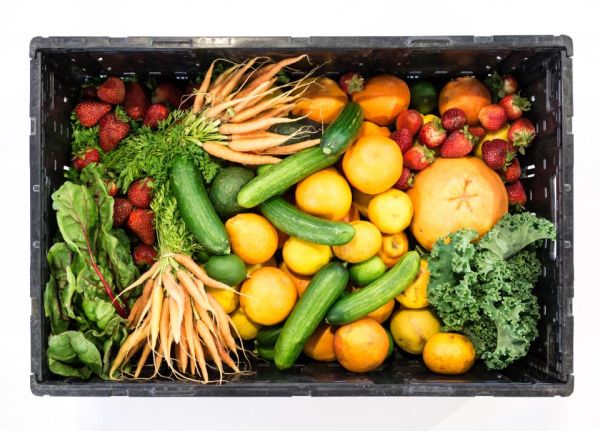 Frutas e vegetais frescos, alimentação saudável para prevenir diabetes
